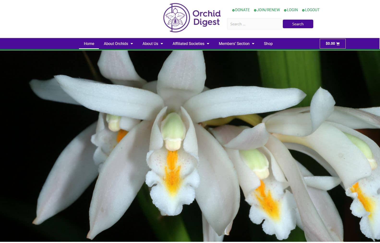 Orchid Digest Magazine website developer