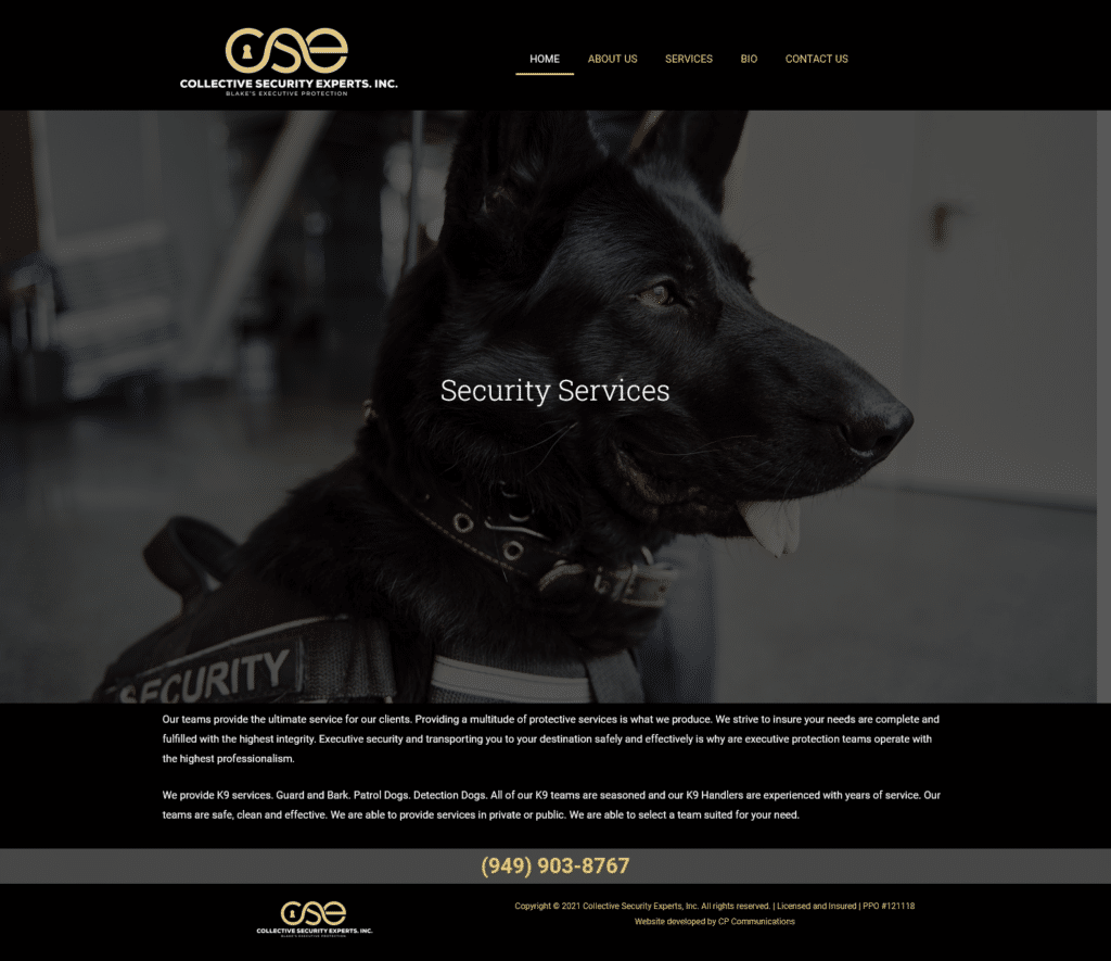 Collective Security Experts, Inc.